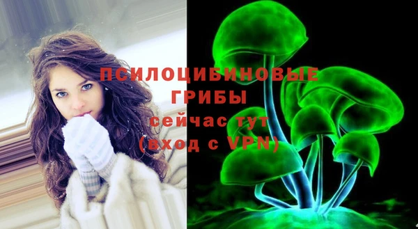 гидра Абдулино